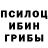 Псилоцибиновые грибы Magic Shrooms Dayz S.
