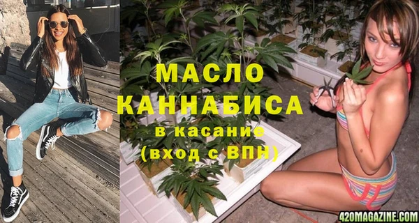 мдпв Рославль