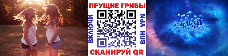 Галлюциногенные грибы Cubensis  mega tor  Макаров 